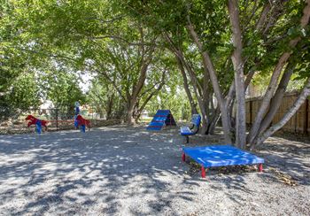 Pet park with obstacle course